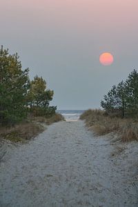 Mond vor einen Strandübergang auf Usedom mit Blick auf die Ostsee
