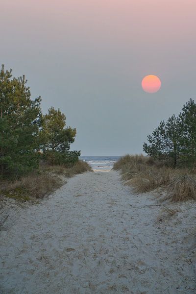 Mond vor einen Strandübergang auf Usedom mit Blick auf die Ostsee von Martin Köbsch