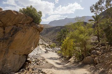 Off Road Oman: Wadi Bani Awf van Lisette van Leeuwen