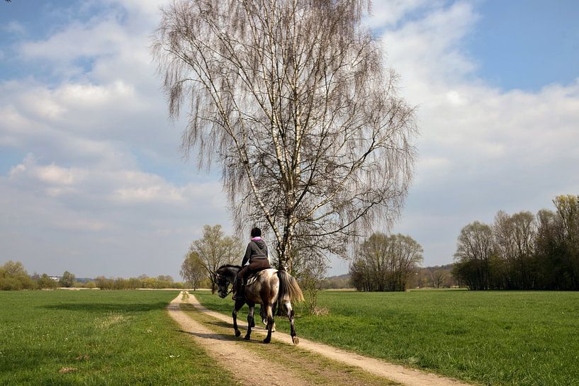 Te paard van Christine Nöhmeier