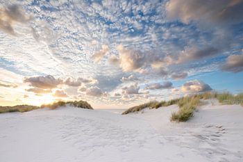 Beach life