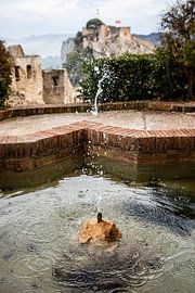 Valencia von Eric van Nieuwland