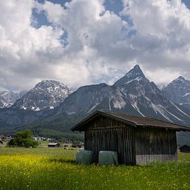 Mountain valley near Ehrwald in Tyrol, Austria by Bo Scheeringa Photography