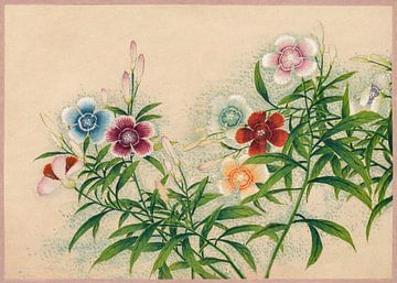 fleurs colorées, Zhang Ruoai, 18e siècle