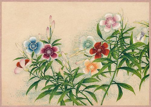 kleurige bloemen, Zhang Ruoai, 18e eeuw