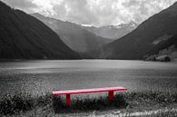 Bench at the water's edge by Rene Bakker thumbnail