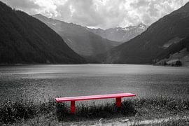 Bench at the water's edge by Rene Bakker