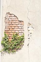 Gebroken muur