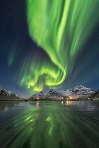 Gelockte Aurora