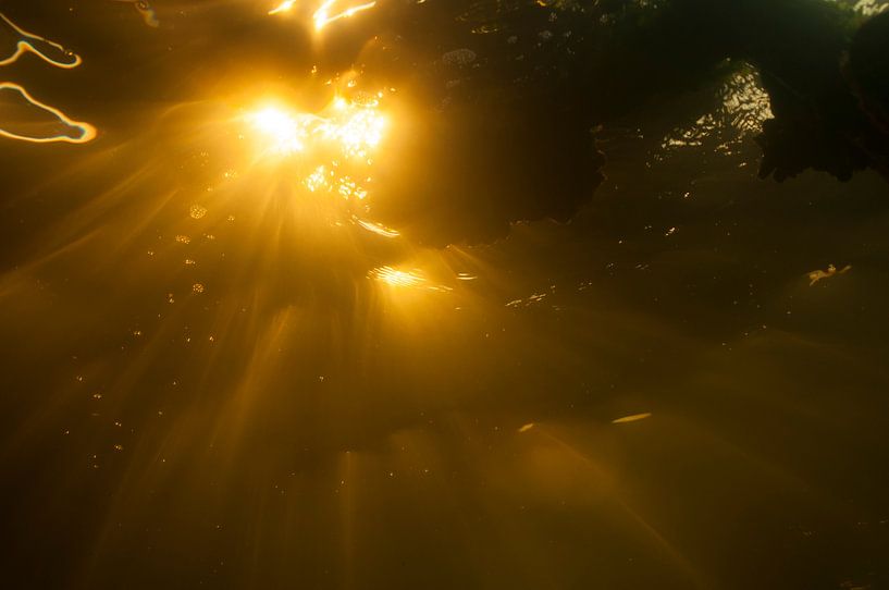 zonsondergang onderwater by Annelies Cranendonk