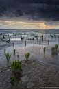 Waddenzee van Aland De Wit thumbnail