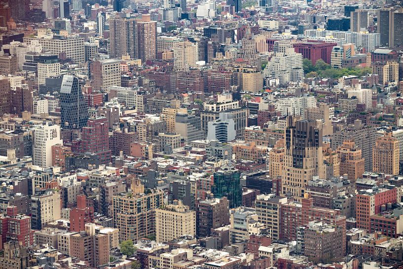 Fourmilière New York City (1) par Albert Mendelewski