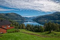 Noorse fjorden