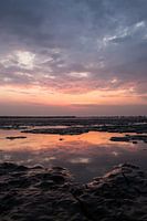 Mudflat Reflections