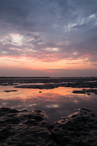 Mudflat Reflections