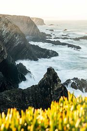 Stork on Rocky Cliff above Wild Ocean