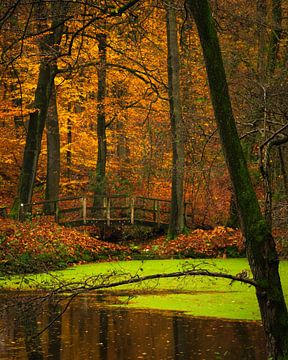 De brug naar de herfst