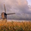 Nederlandse  Windmolen Zonsopgang Landschap Kinderdijk van Sonny Vermeer