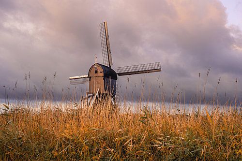 Nederlandse  Windmolen Zonsopgang Landschap Kinderdijk
