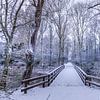 sneeuw in het rosariumpark van peterheinspictures