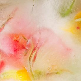 Fleurs en glace : couleurs pastel au printemps sur Carla Van Iersel