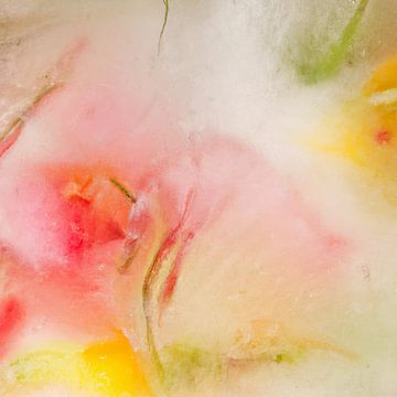 Flowers in ice: pastel colours in spring