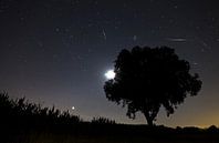 Perseiden meteorieten storm von Dennis van de Water Miniaturansicht