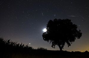 Perseiden meteorieten storm sur Dennis van de Water