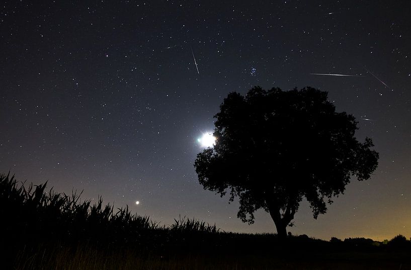Perseiden meteorieten storm von Dennis van de Water