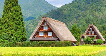 Dorp gelegen in Gifu Prefectuur van Yevgen Belich