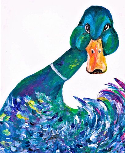 Aagje 2 le canard curieux.