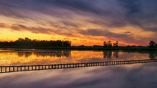 Ae's Woudbloem Groningen