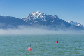 Morgenstimmung am Forggensee hinten der Säuling, 2047m, Ammergauer Alpen von Walter G. Allgöwer
