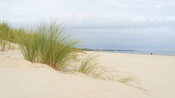 Strand aan de kust van Swinoujscie