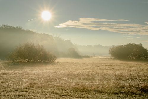 Rising sun over the misty landscape