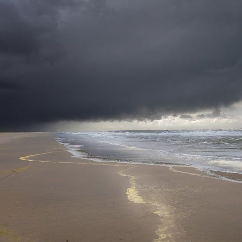 Le calme avant la tempête