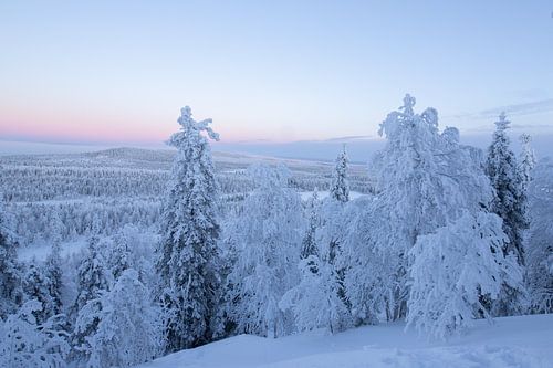 Fins Lapland