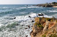 Seagull on the rugged Atlantic coast by Studio LE-gals thumbnail