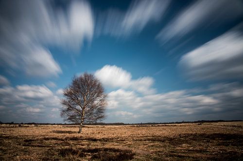 Wide view on the Drentse Aa