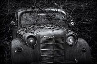 Verlassenes altes autowrack bedeckt mit Zweigen von Ger Beekes Miniaturansicht