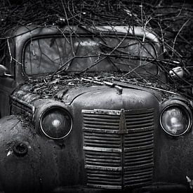 Verlassenes altes autowrack bedeckt mit Zweigen von Ger Beekes
