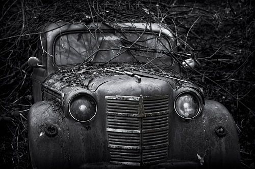 abandoned old vintage  car wreck covered with branches
