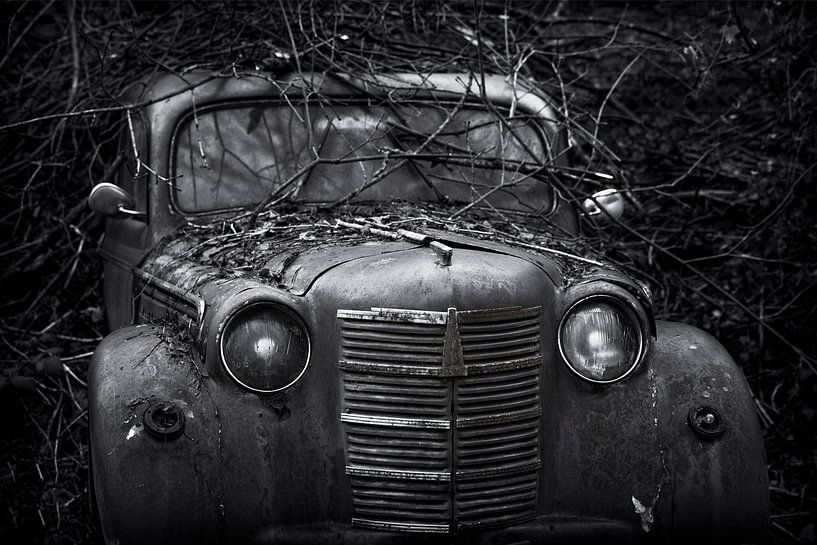 Verlassenes altes autowrack bedeckt mit Zweigen von Ger Beekes
