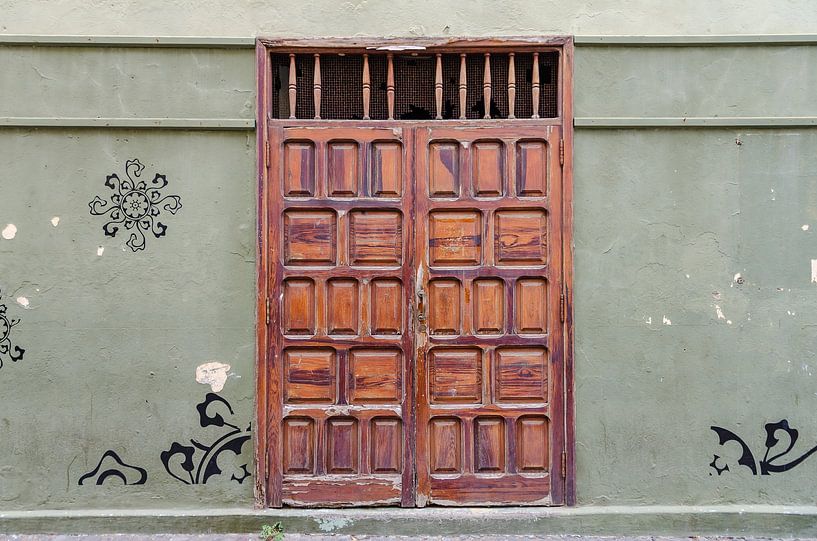 Weathered wooden door with ornaments by Alexander Baumann
