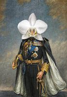 King Orchid