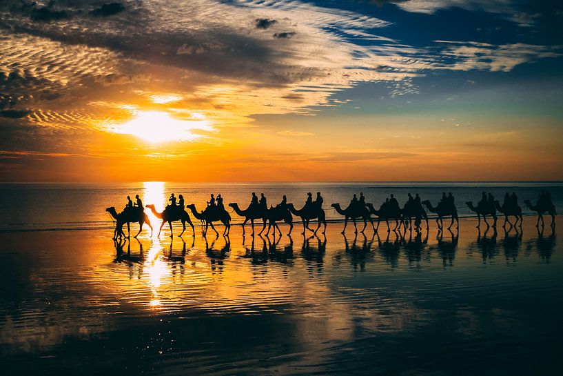 Kamelen bij zonsondergang Australië van Eveline Dekkers