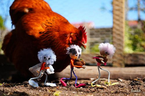 Les Fubby remplissent les coupelles en forme de coquille de noix de nourriture au poulet