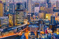 Osaka skyline van Marcel Tuit thumbnail
