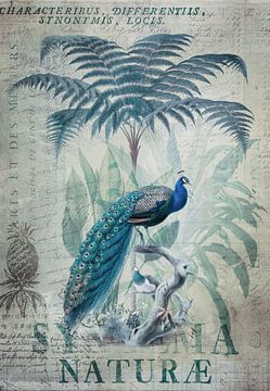 Jungle paradise with peacock by Andrea Haase