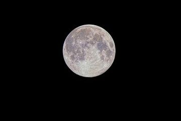 Cold supermoon by Korayu Photography